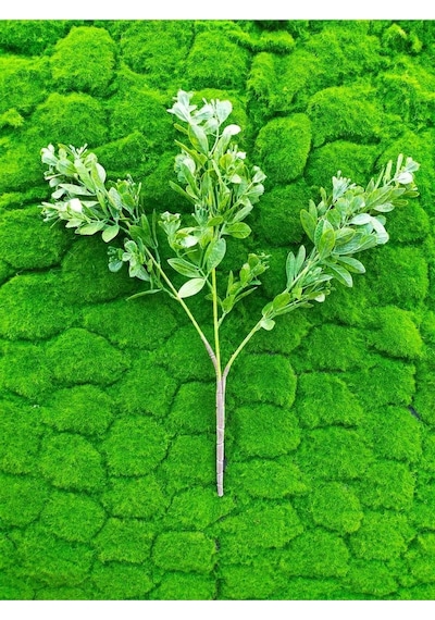 1 Adet Kokteyl Sunum Pipeti Cam Pipet Isıya Dayanıklı Eğimli 20cm Şeffaf Cam Pipet Tekli