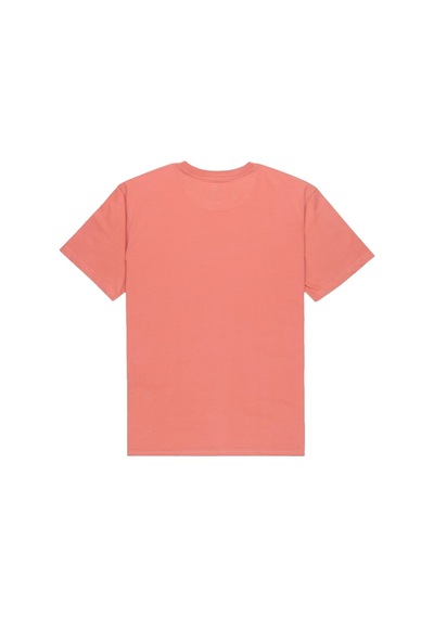 Quiksilver Quıksılver Fundamental Rıd 2020 Pembe