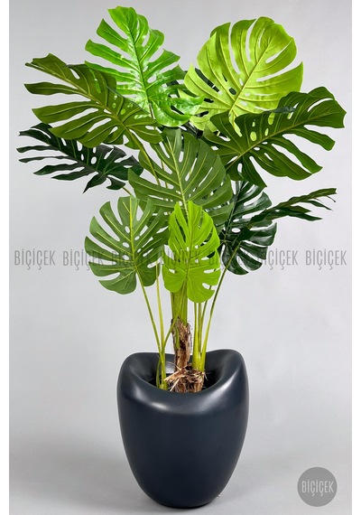 Yapay Monstera Ağacı Deve Tabani 170 Cm Antresi T Lale Saksıda Antresit