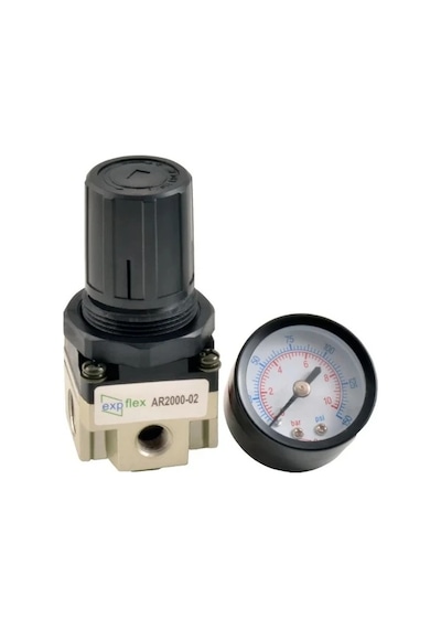 Expflex Ar2000-02 1/4 Regülatör Expflex