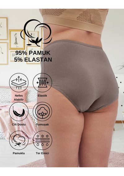 Alya Underwear Kadın Extra Battal Külot - 5 Adet Beyaz 8xl, 9xl, 10xl Çok Renkli P20