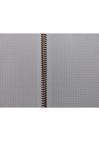 A4 80 Yaprak Kareli Telli Defter Pastel Renk Plastik Kapak Göz Yormayan Krem Renk Kağıt Nar Çiçeği