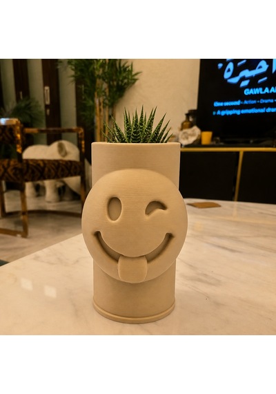 3d Baskı Emoji Planter - Göz Kırpan Yüzlü Sukulent Saksısı-bej
