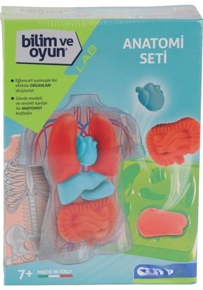 Mey İthalat 64742 Bilim Ve Oyun - Anatomi Seti