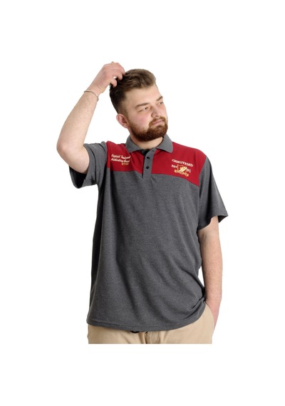 Mode Xl Büyük Beden Erkek T-Shirt Polo Chngyrmd 23328 Antramelanj 001