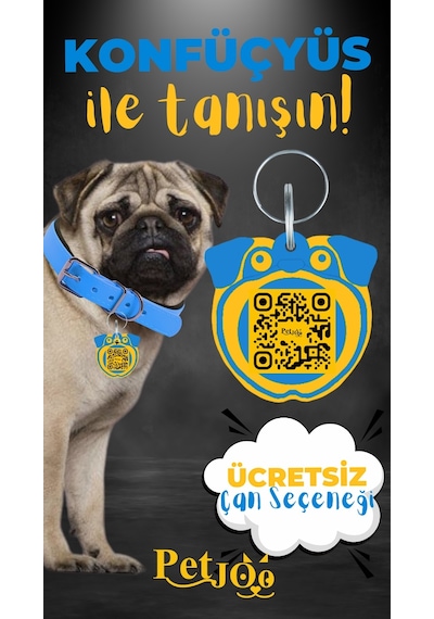 Petjoo 9.Konfüçyüs Sarı-Mavi Qr'lı Köpek Künyesi