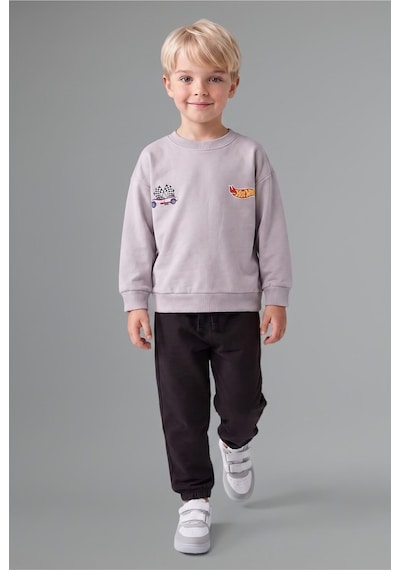 Defacto Hot Wheels Lisanslı Baskılı Bisiklet Yaka Basic Sweatshirt Ve Jogger Eşofman Altı 2li Takım Erkek Bebek I0151a526wngr91 Gri-gr91