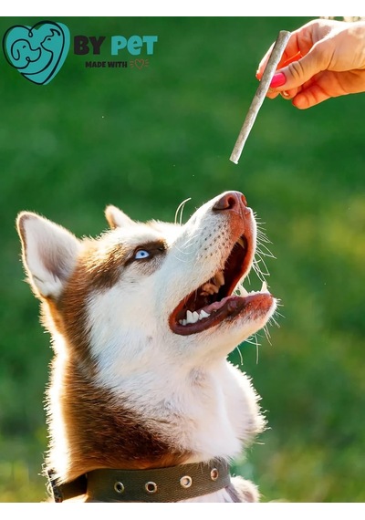 Doğal İşkembeli Köpek Ödül Maması, Köpek Munchy Çubuk 40 Adet