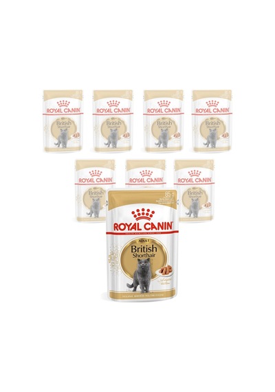 Royal Canin British Shorthair Yetişkin Pouch Kedi Maması 85 G