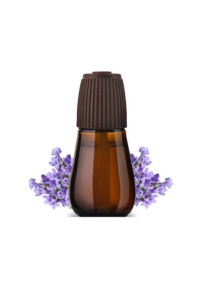 Air Wick Essential Mist Yedek Lavanta Esintisi 20 ML