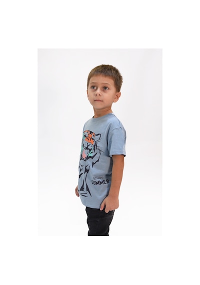 Luess Erkek Çocuk Kaplan Baskılı Tshirt-mavi Mavi
