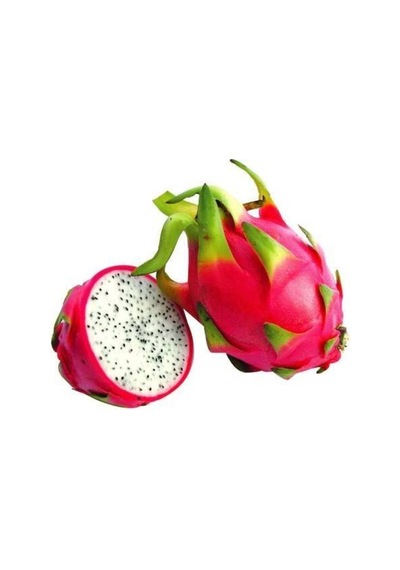 Bodur Pitaya Ağacı Tohumu Beyaz Pitaya Ağacı Tohumu Yetiştirme Kiti