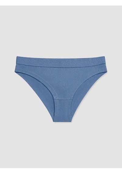 Lcw Young Mavi Bikini Külot 3'lü