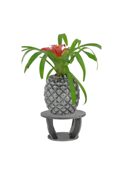 Ahşap Ayaklı Beton Saksı Büyük Boy 1 Adet Ananas Model - Gümüş Eskitme
