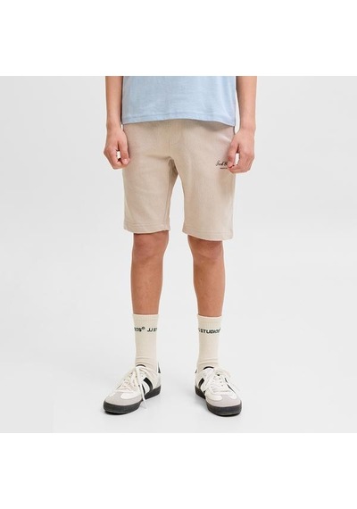 Jack&jones Jack Jones Çocuk Şort Gordon Archive Sweat Shorts Mid Çok Renkli