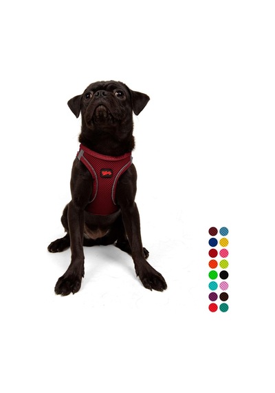 Tailpetz Air-mesh Küçük Ve Orta Irk Kedi Köpek Göğüs Tasması - Yumuşak, Nefes Alabilir, Dayanıklı Bordo, M Sku: Zeusb0d49xmhrb Açık Bej - Bej