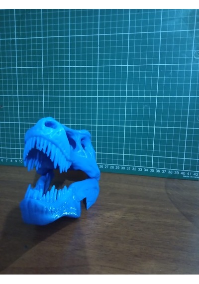 Trex İskelet Kuru Kafa Biblo Heykel