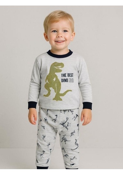 Zekids Erkek Çocuk Dinozor Baskılı Uzun Kollu Pijama Takımı-16047 Grı