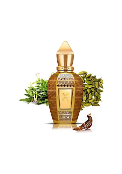 Xerjoff Oud Stars Luxor 100 Ml Diğer