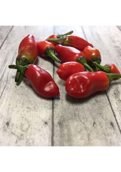 Jigsaw Pepper Tohumu 15 Tohum 1 Paket