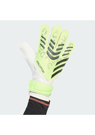 Adidas Predator Training Kaleci Eldiveni C-adıjn5356a10a00 Yeşil