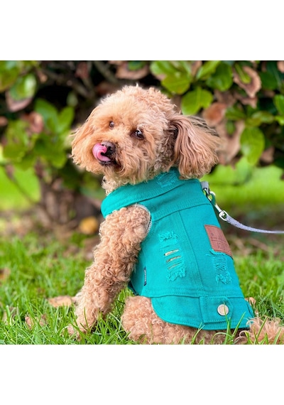 Yeni - Çam Yeşili Renk Kot Köpek Yeleği - Küçük Irklar İçin Şık V