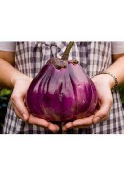10 Adet Tohum Nadir Mor Tropikal Hanım Çantası Patlıcan Tohumu