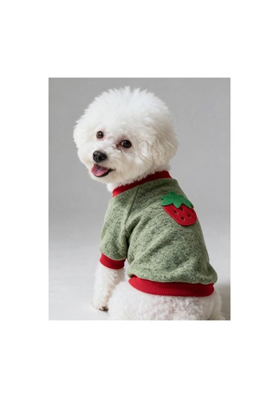 Çilek Tadında Köpek Sweatshirt Kırmızı Yeşil - Sıcacık
