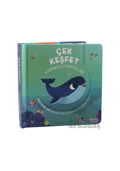 Çek Keşfet Hayvanlar Masalperest