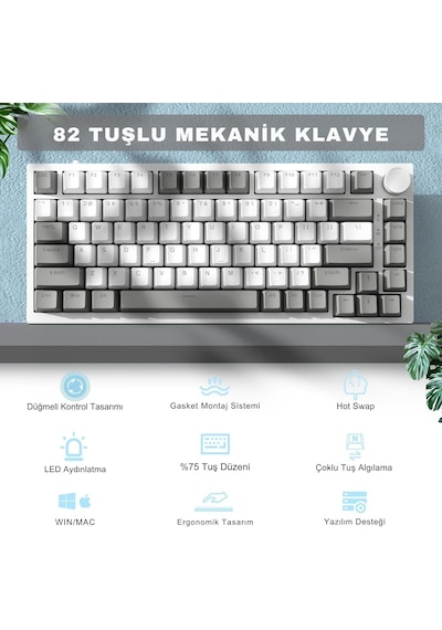 Beyaz Işıklı Hot Swap Kablolu Mekanik Oyun Klavyesi Ajazz Ak820 Gri Beyaz - Kırmızı Switch