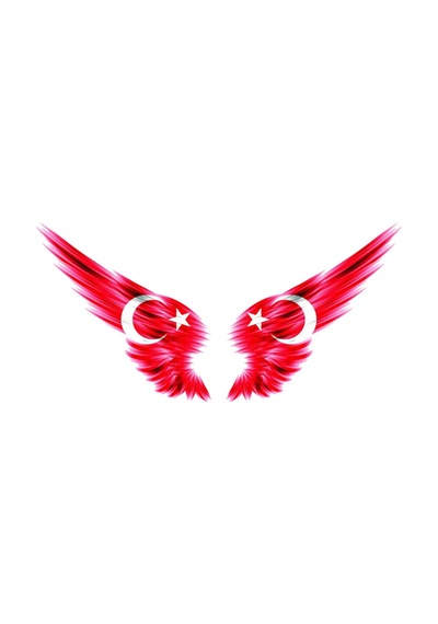 Ay Yıldız Araba Aynası Sticker Yapıştırması