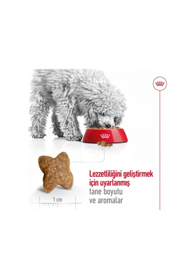 Royal Canin Mını Adult Küçük Irklar Için Kuru Köpek Maması 8kg