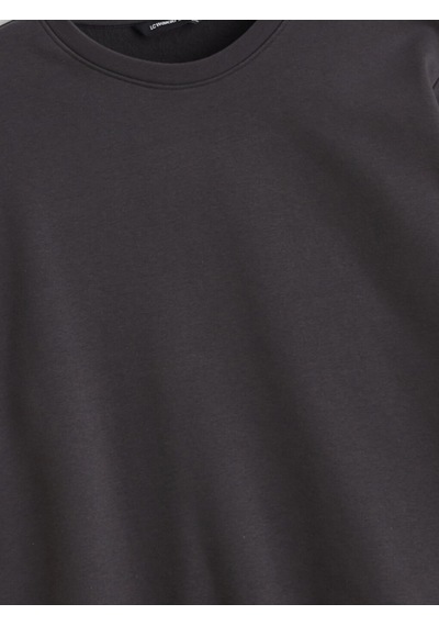 Lcwaıkıkı Classic Antrasit Büyük Beden Bisiklet Yaka Erkek Sweatshirt