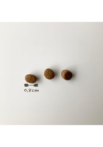 Lıder Spectrum Low Grain Kuzu Etli Ve Yaban Mersinli Mini Ve Küçük Irk Yetişkin Köpek Maması 2,5kg