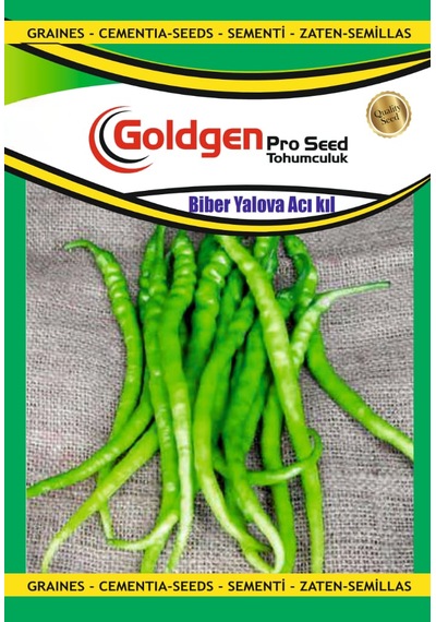 Goldgen Yalova Acı Kıl Biber Tohumu 1 Paket