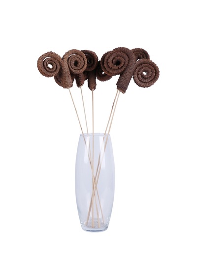 Yapay Çiçek Sitesi Kuru Çiçek Doğal Palm Ring 50 Cm 5 Adet Naturel