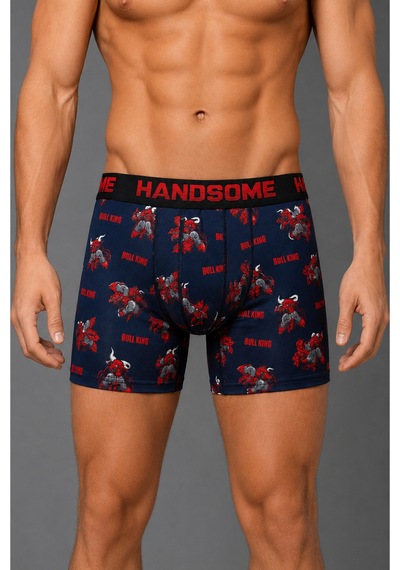Brem Handsome Boğa Kralı Desenli Erkek Boxer Çok Renkli