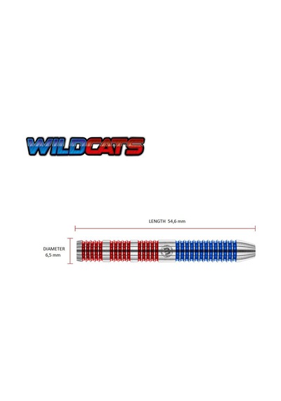 Winmau Wildcats %90 Tungsten 23gr Çelik Uçlu Dart Oku