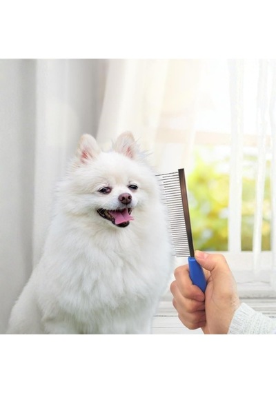 Bakgelal Tüy Açıcı Kedi Köpek Tarağı Tek Taraflı Metal Dişli Evcil Hayvan Bakım Fırçası
