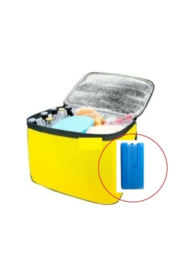 Termos Çanta - Piknik Çantası Buz Aküsü Hediyeli 40LT