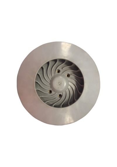 Fan Palmera 55M6