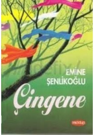 Çingene - Emine Şenlikoğlu N11.19579