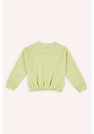 Kız Çocuk Yeşil Sweatshirt 4746144