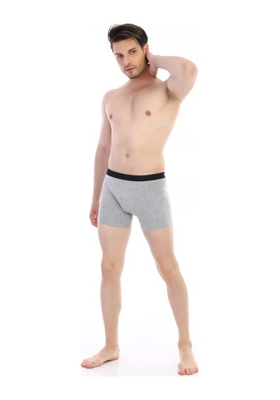 Çift Kaplan Erkek Elastanlı Gri Boxer 889 Gri