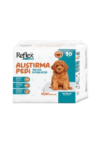 Köpek Alıştırma Pedi