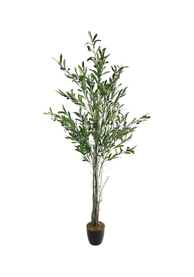 Yapay Zeytin Ağacı 160Cm Tek Gövdeli Çalılı Doğal Gerçek Görünüml