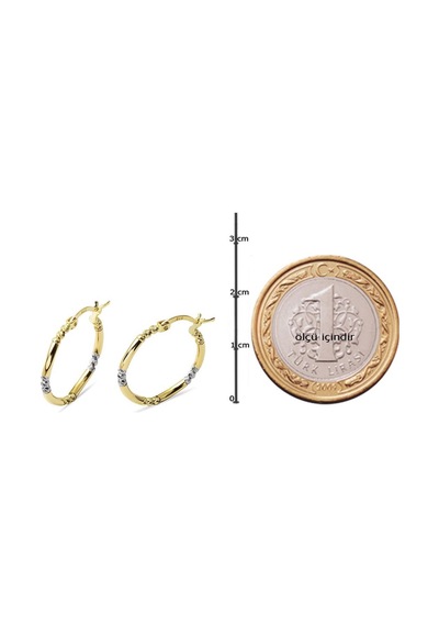 Top Altınlı 1,8 cm Çaplı Halka Küpe 14EGEKP102M