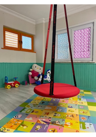 Jeromekids Çocuk Ve Yetişkin Tavana Asılan Dış Mekan Mekanizmalı