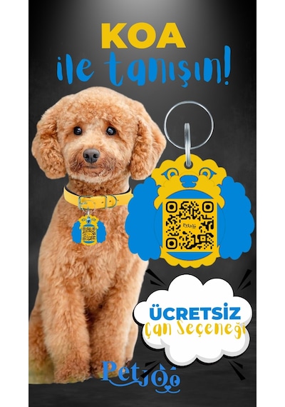 Petjoo 14.Koa Mavi-Sarı Qr'lı Köpek Künyesi