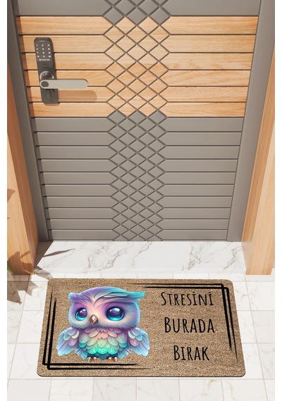 Rugmood Modern Dijtal Baskı Baykuş Stres Yasaktır Kapı Önü Paspası Çok Renkli